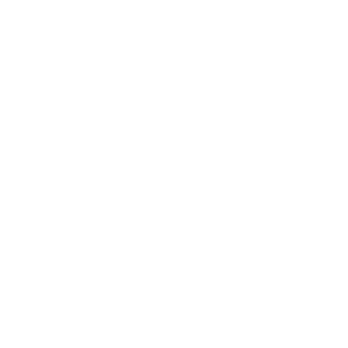 logo villas magnolias